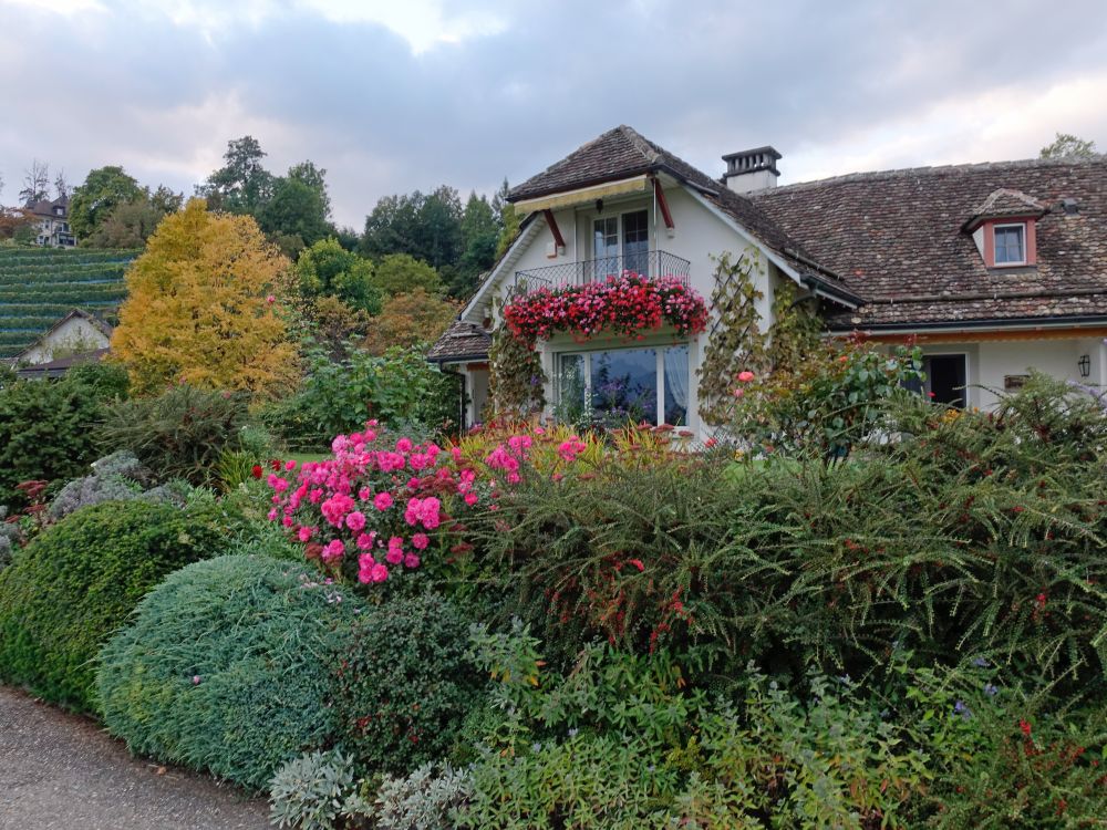 Haus von Hinter-Rüti