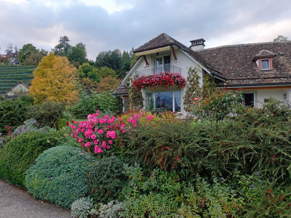 Haus von Hinter-Rüti