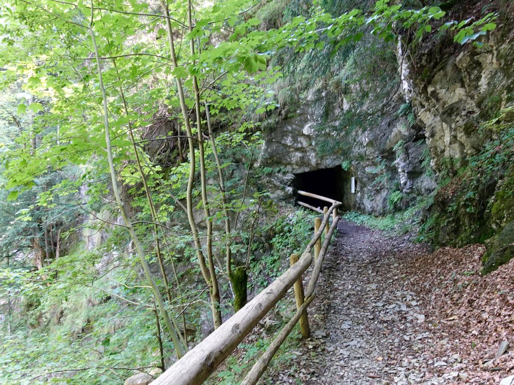 Tunnel am Steibi Wasserfall