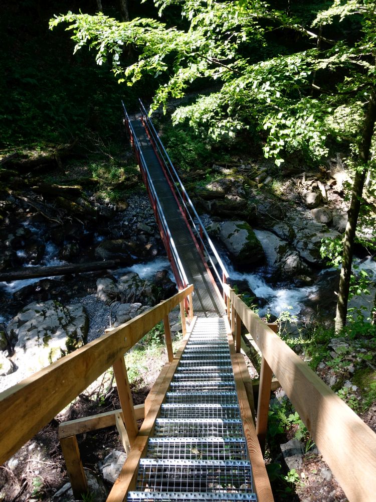 Steg über den Altibach