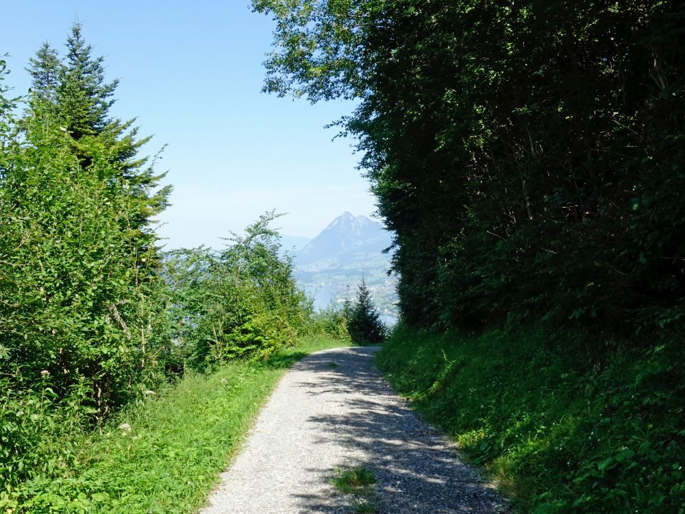 Höhenweg und Stanserhorn