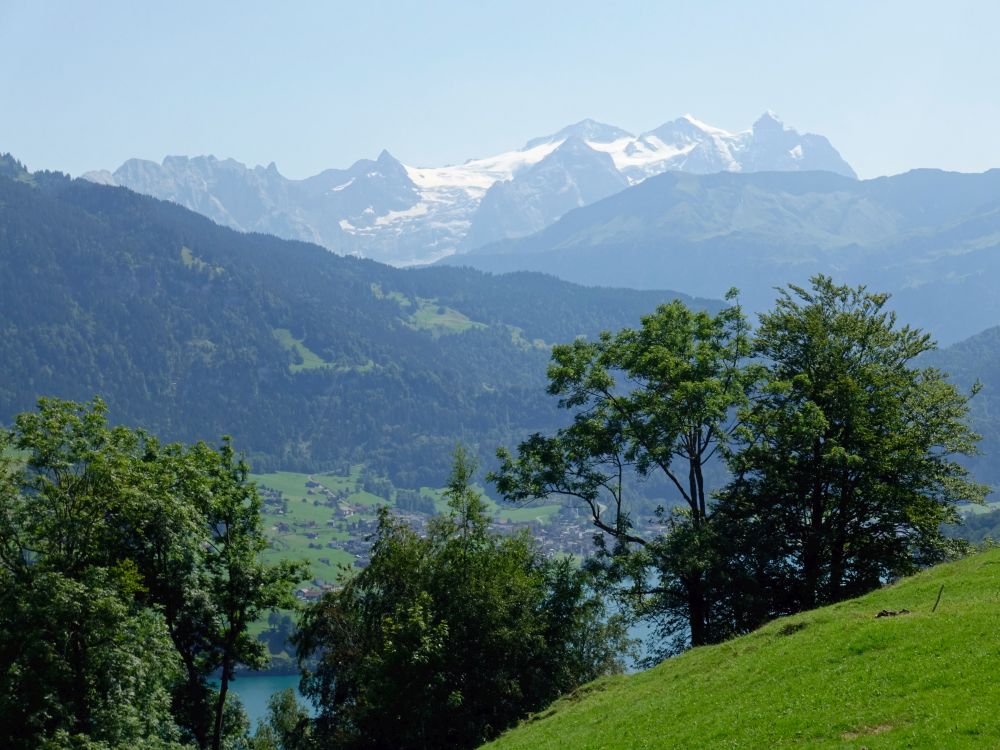 Rosenhorn, Mittelhorn, Wetterhorn, u.a.