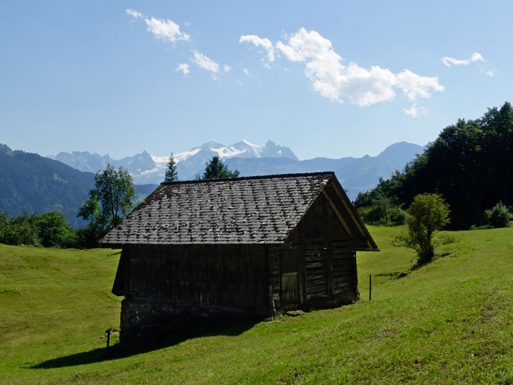 Berner Alpen