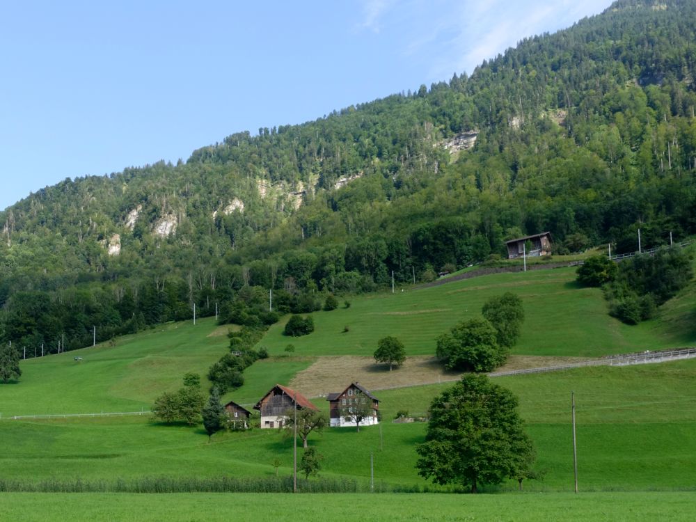 Schwendiboden