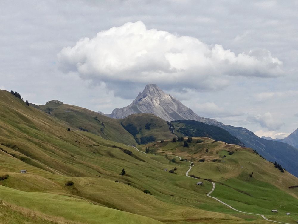 Biberkopf mit Wolke