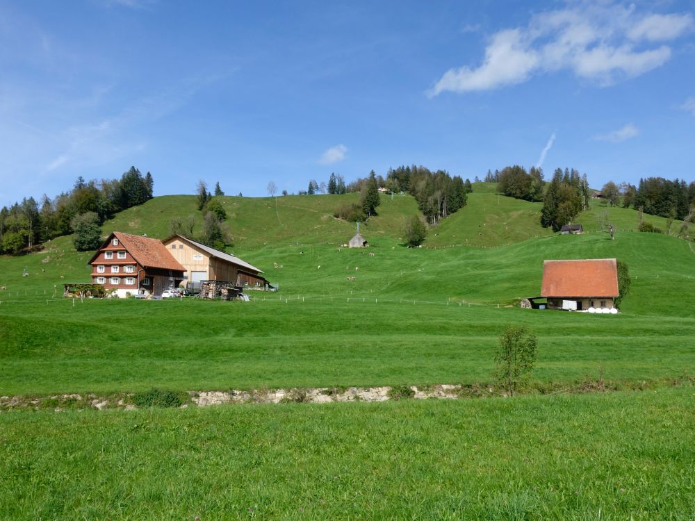 Bisigshalden