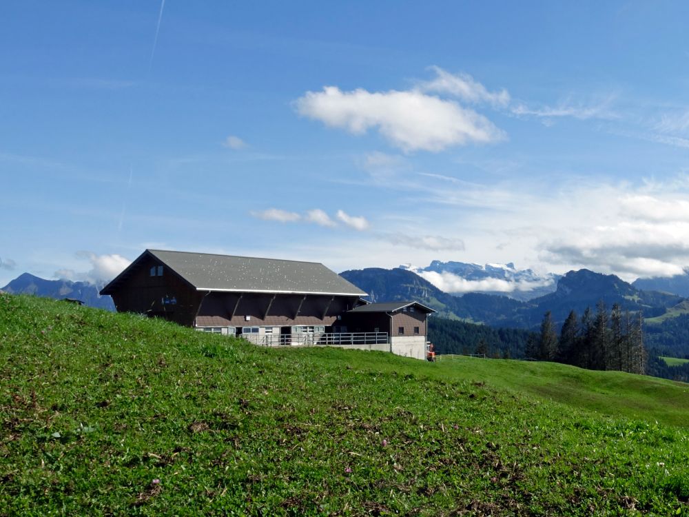 Stallgebäude am Gueteregg