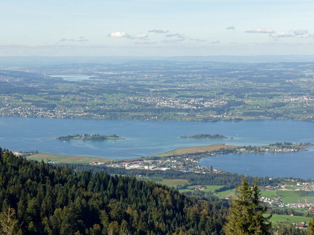 Inseln im Zürichsee