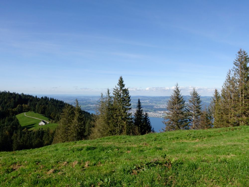 Blick zum Zürichsee