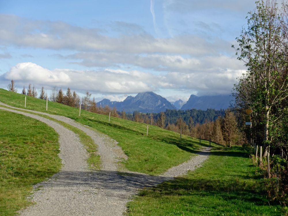 Weggabelung unterhalb Stöcklichrüzhütte