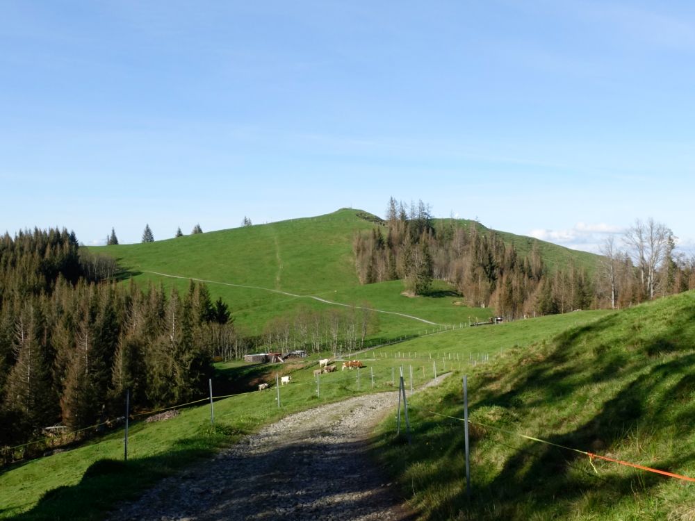 Blick Richtung Stöcklichrüz