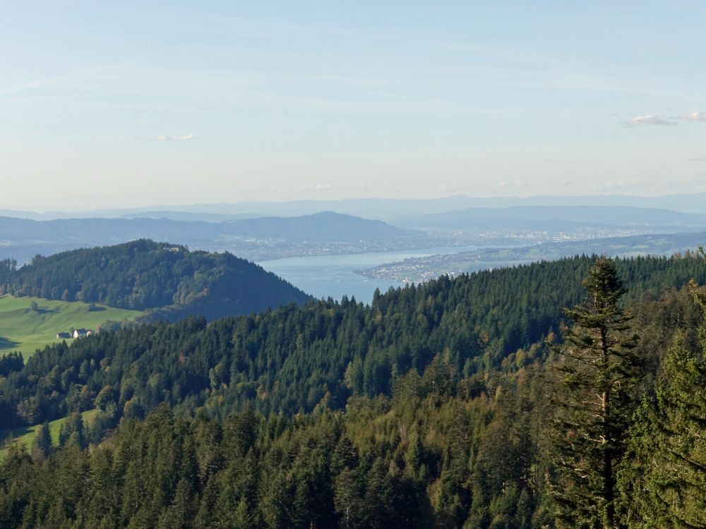 Zürichsee mit Zürich im Hintergrund