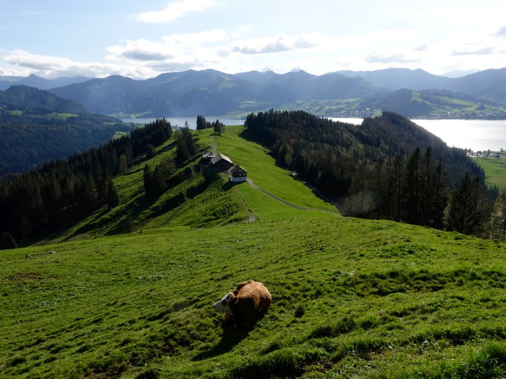 Summerig und Sihlsee