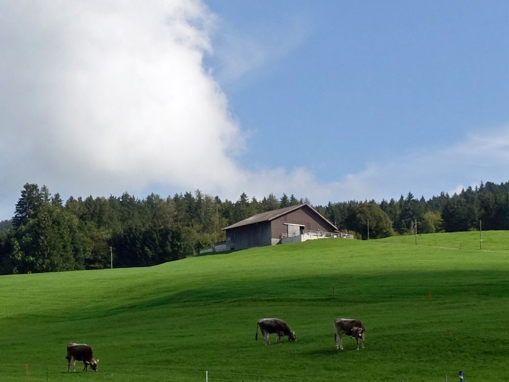 Bauernhof Schachen