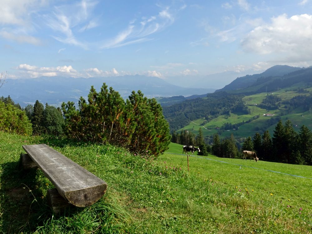 Sitzbank mit Blick ins Rheintal