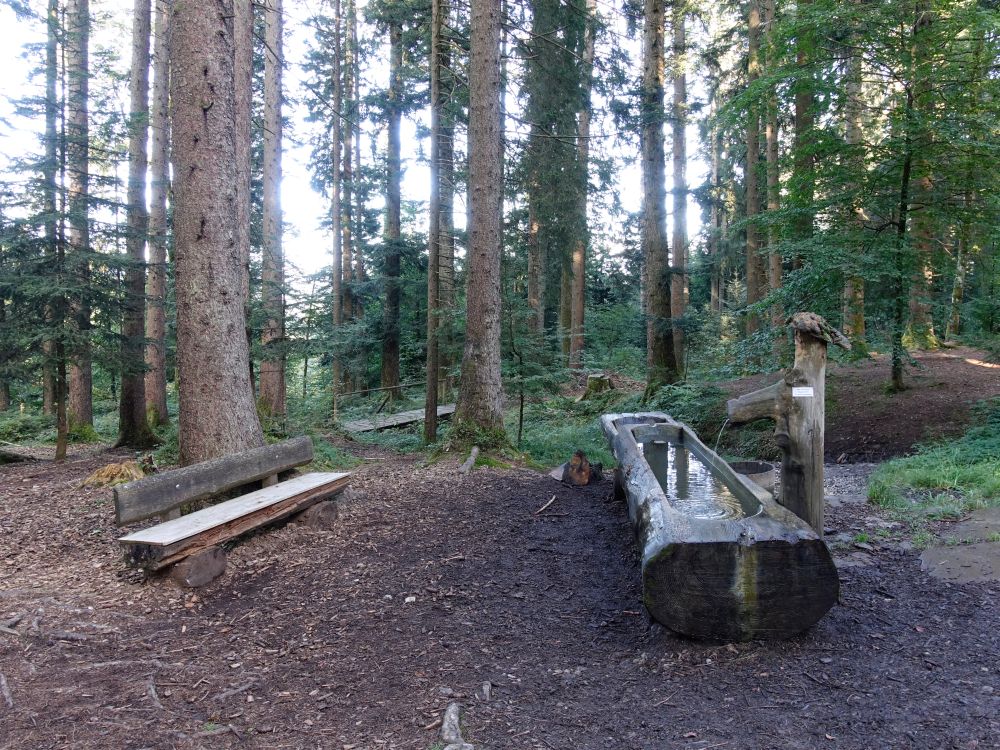 Sitzbank mit Brunnen