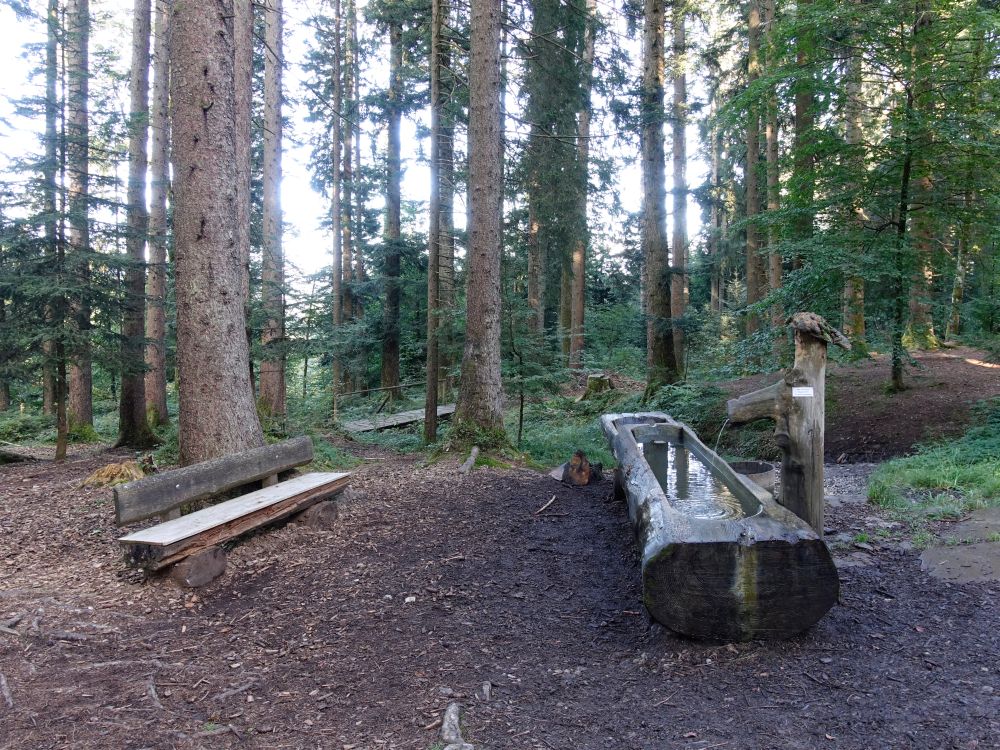 Sitzbank mit Brunnen