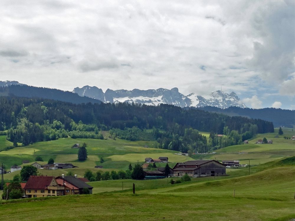 Blick zum Säntis