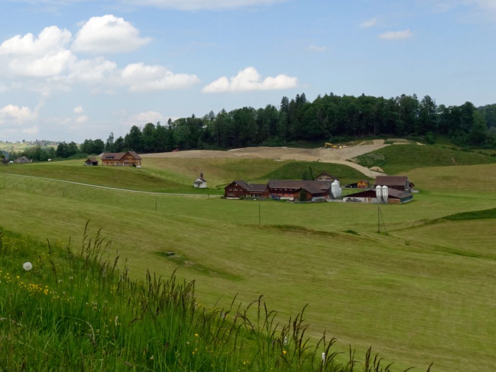 Bauernhof Ronis mit Kapelle