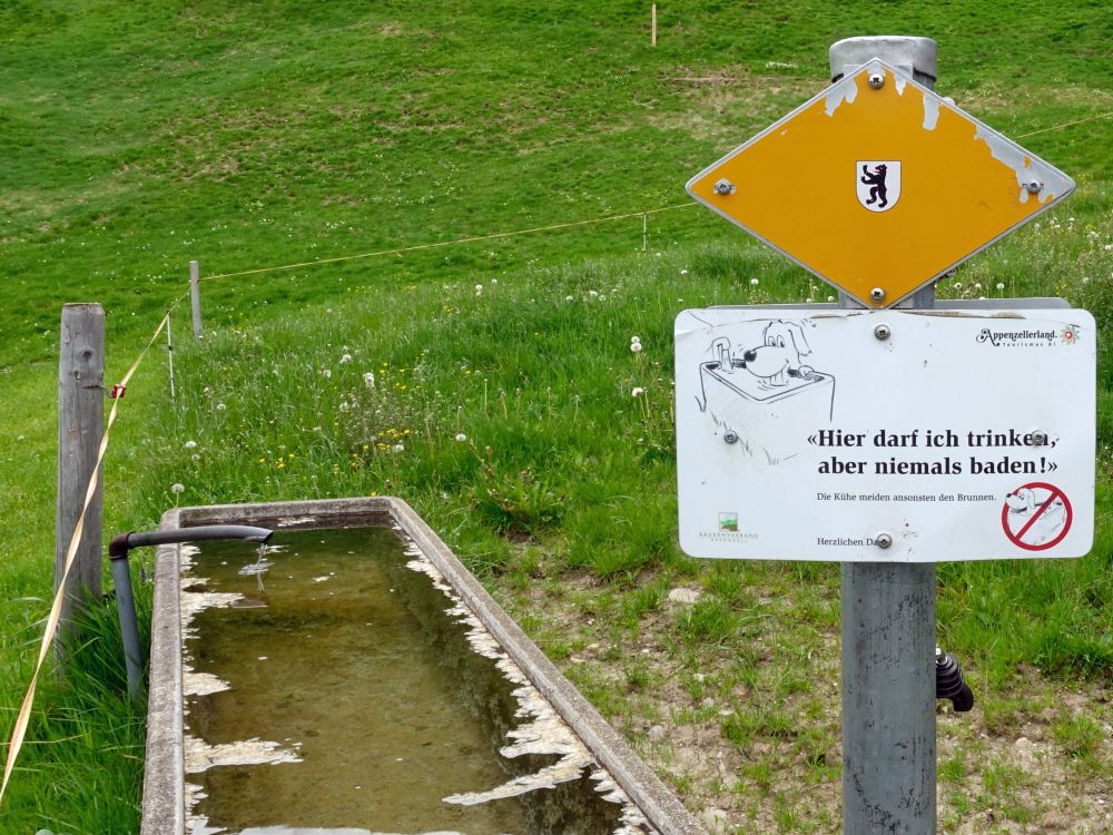 Badeverbot für Hunde