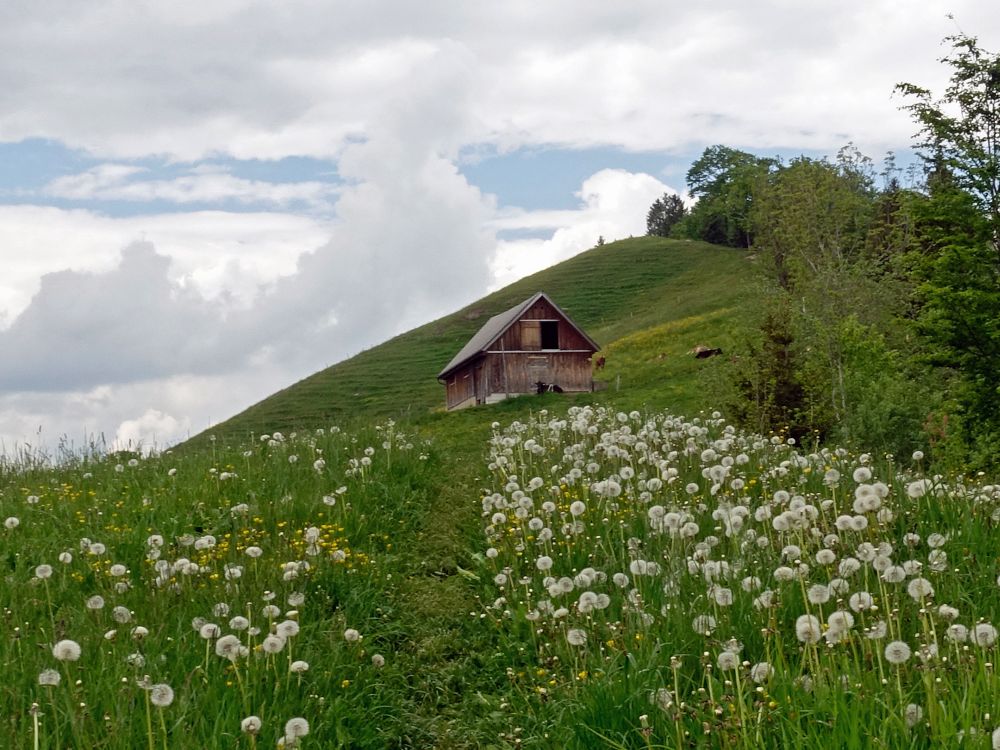 Scheune oberhalb Himmelberg