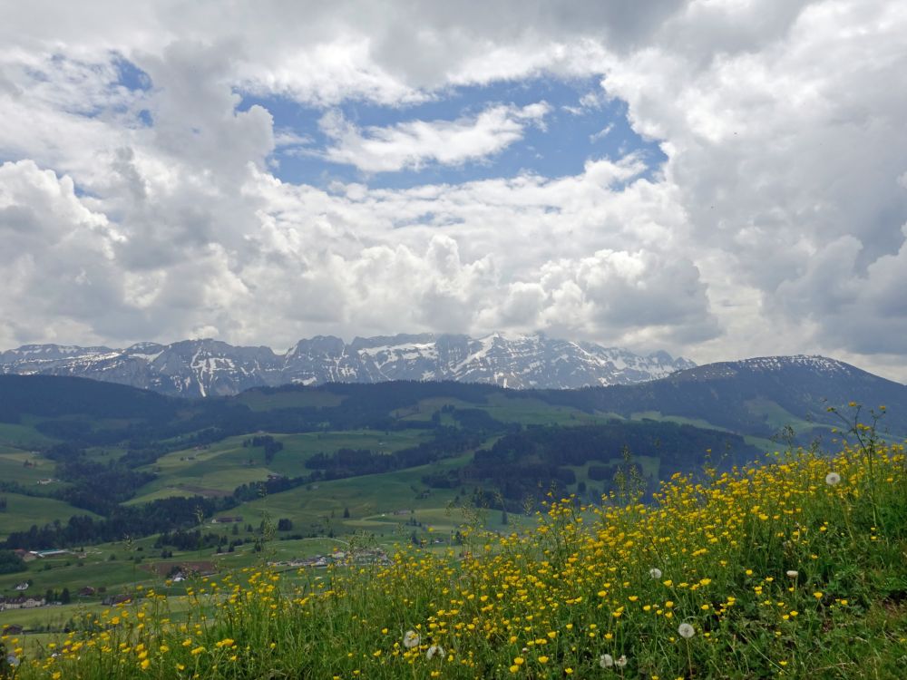 Säntisgipfel in Wolken