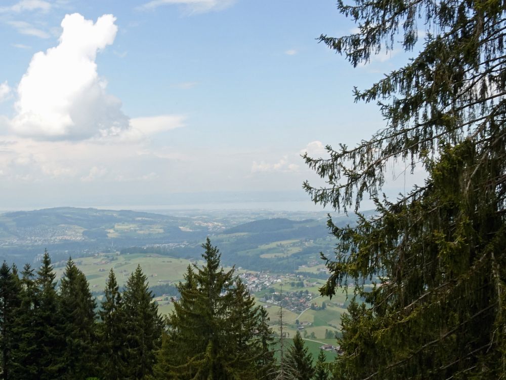 Blick zum Bodensee