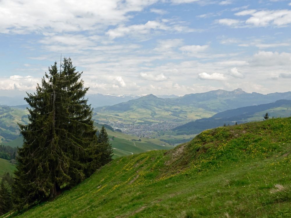 Appenzell mit Fähnerenspitz un Hoher Kasten