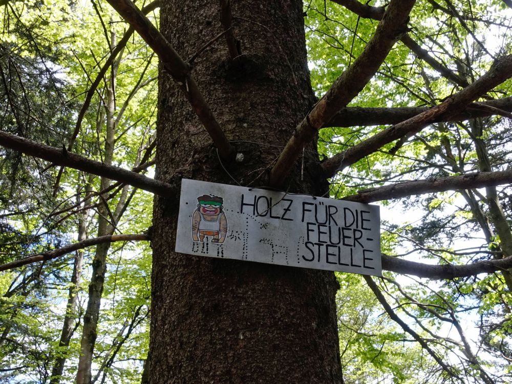 Holz für Feuerstelle