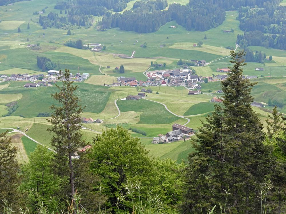 Blick auf Gonten