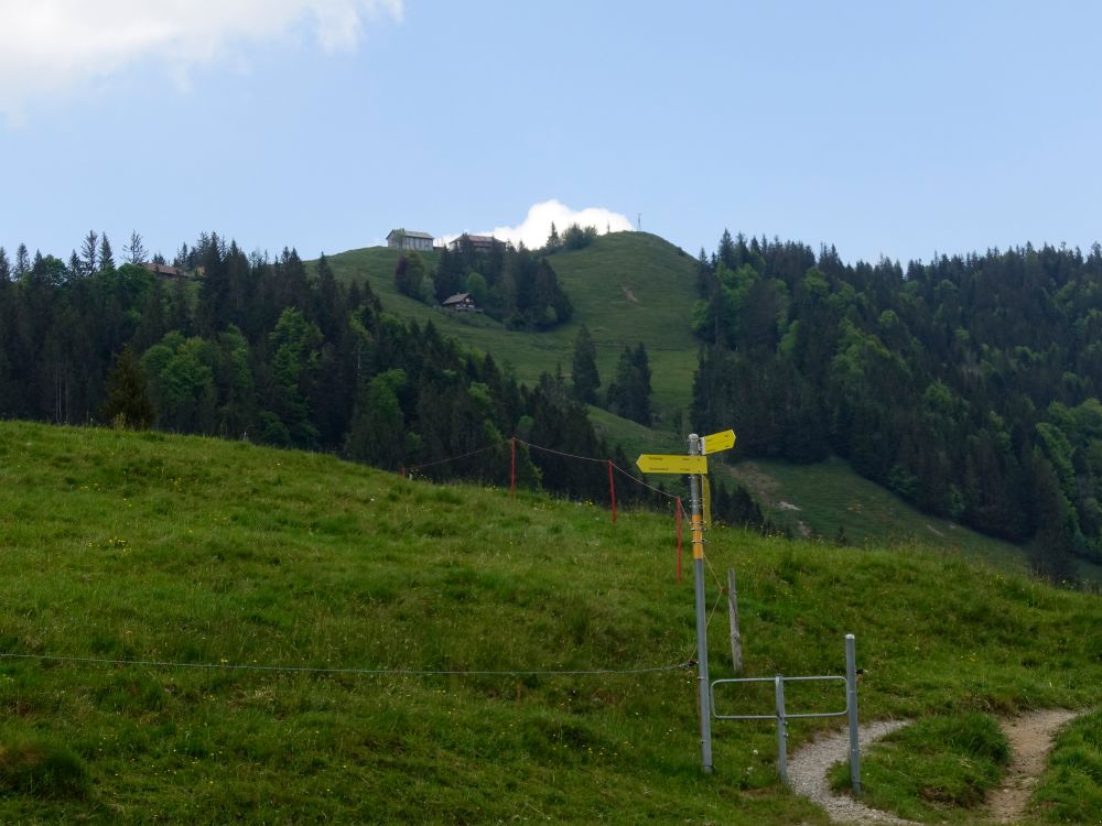 Blick zur Hundwiler Höhi