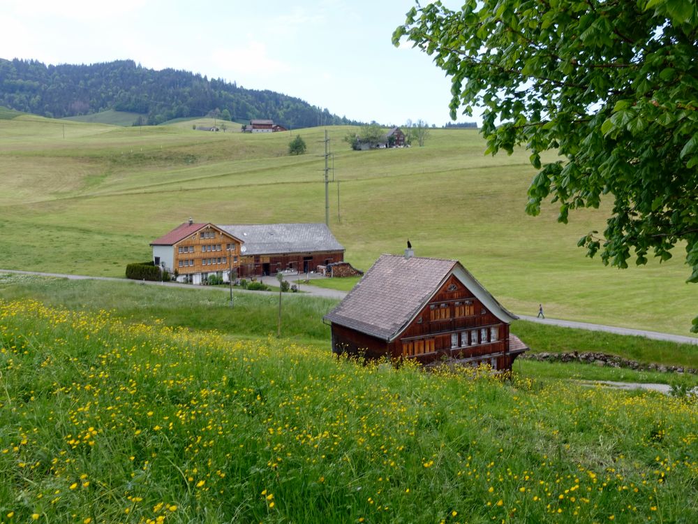 Oberhof (li.)