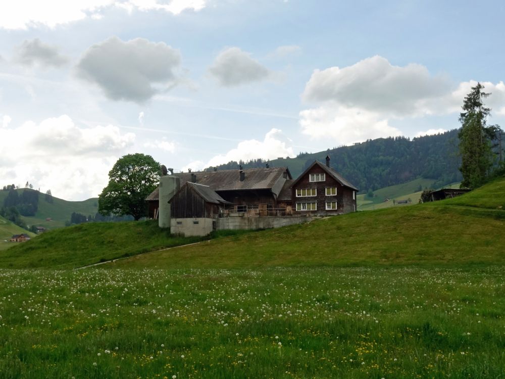 Bauernhof Sömmerli