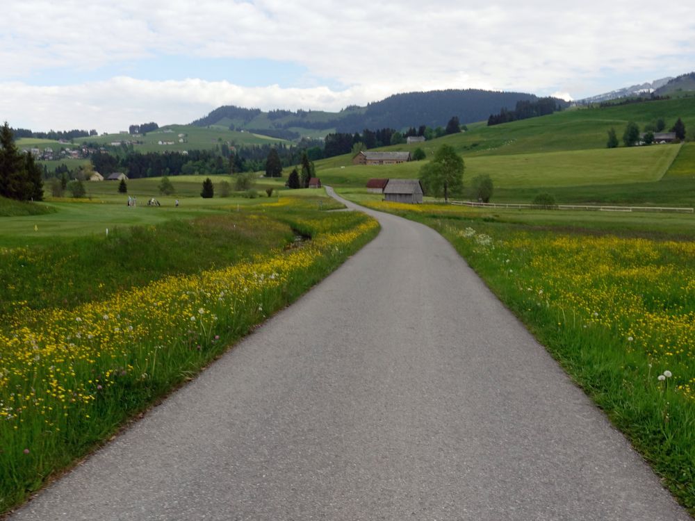 Kaustrasse am Golfplatz