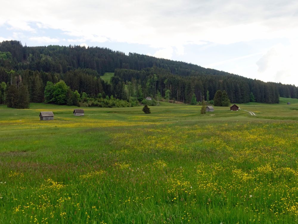 Scheunen im Blumenwiese