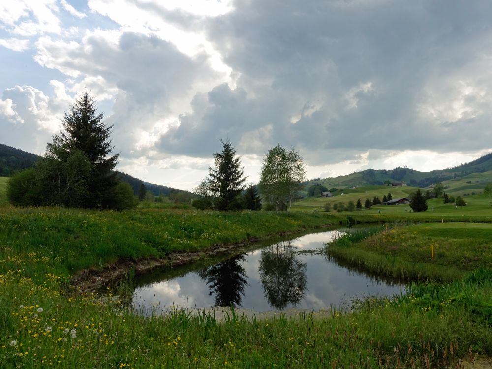 Teich auf dem Golfplatz Gonten