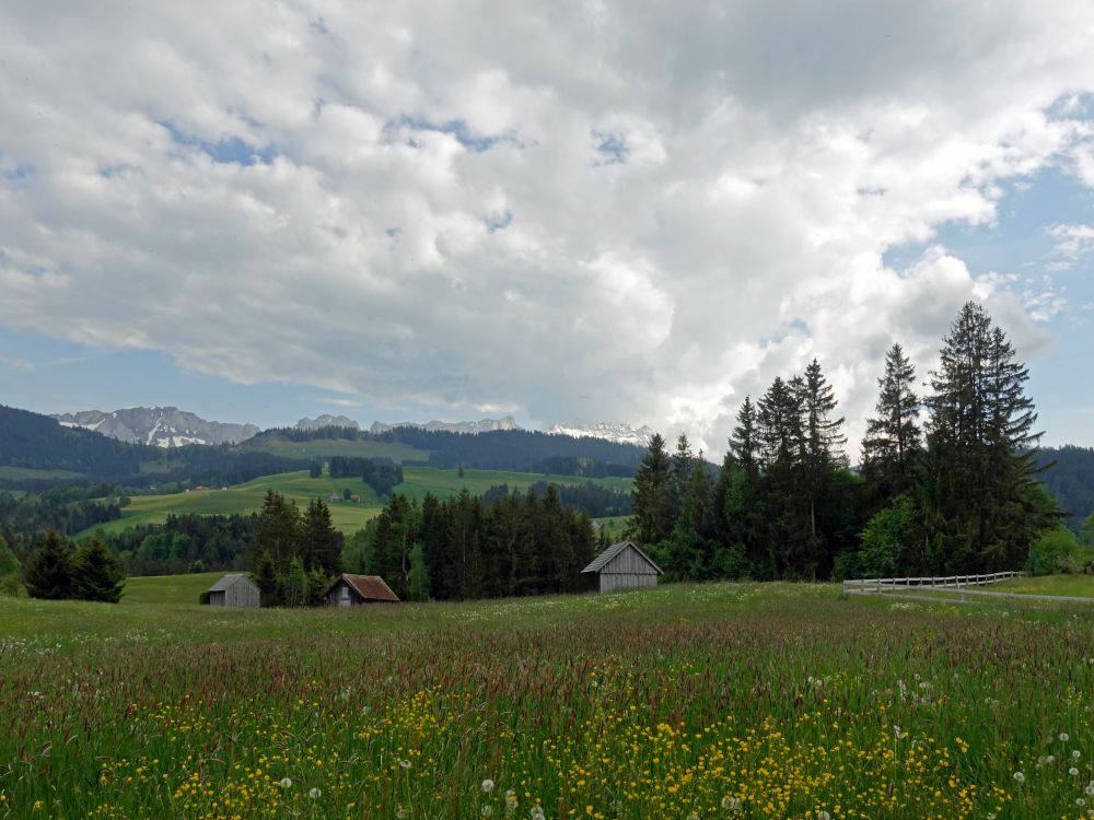 Blick zu Schafberg und Säntis