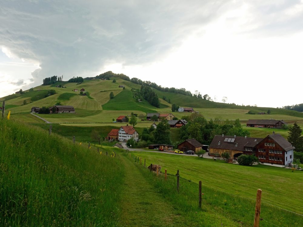 Münz und Blick zur Gampishöhi