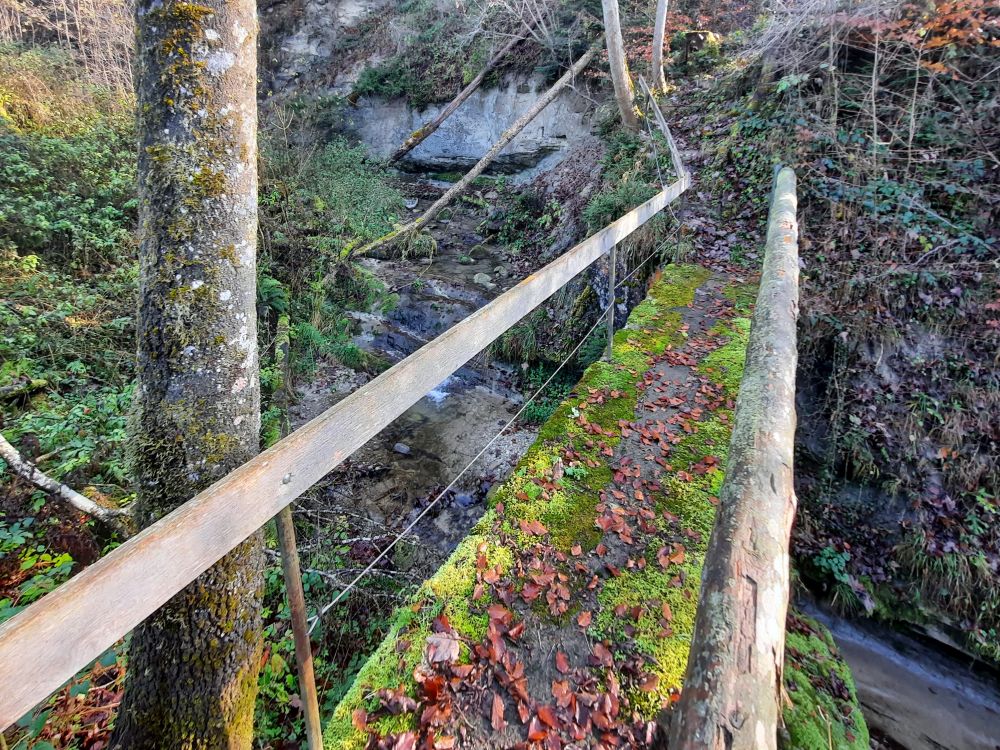 Steg über den Sägibach