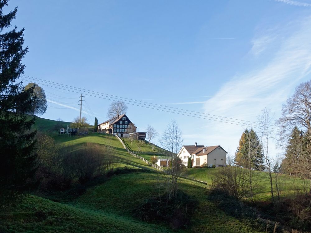 Bauernhöfe Linde und Knopf