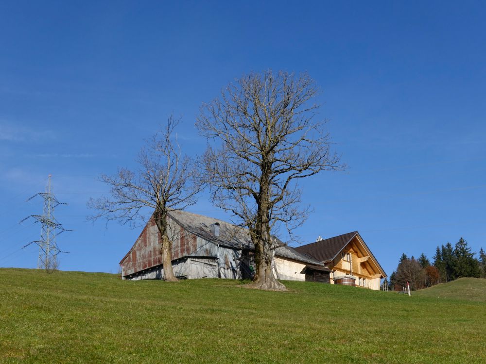 Bauernhof Bömmeli