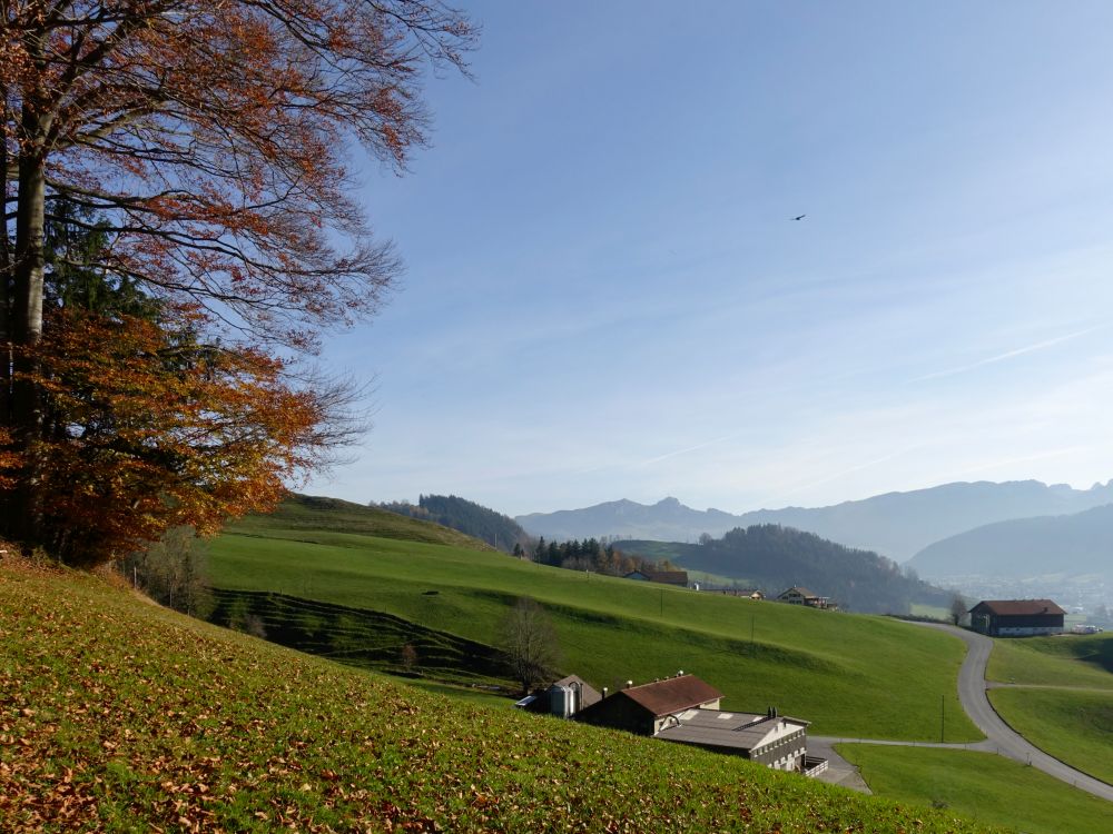 Blick über Sonder Richtung Kamor und Hoher Kasten