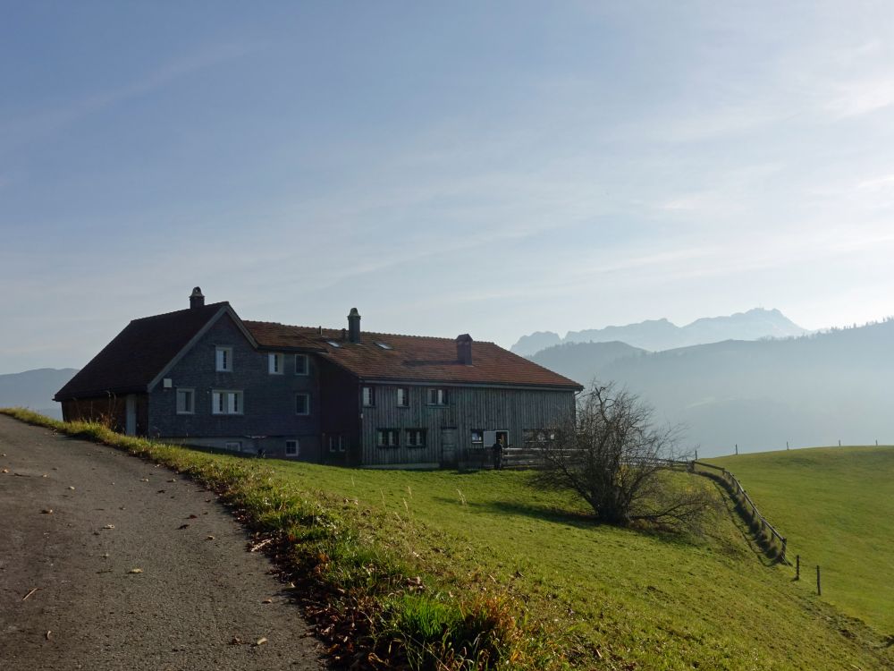 Bauernhof Büel und Säntis