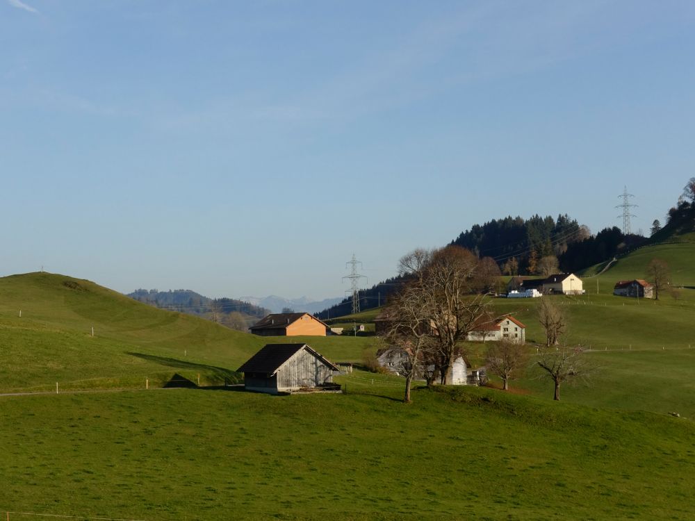 Wees und Steigerhus