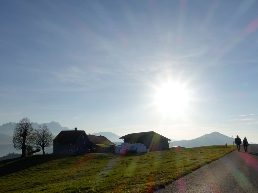 Oberbuech im Gegenlicht