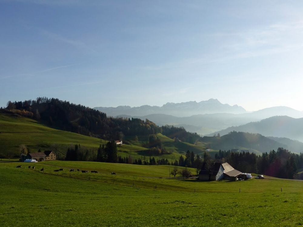 Blick Richtung Säntis