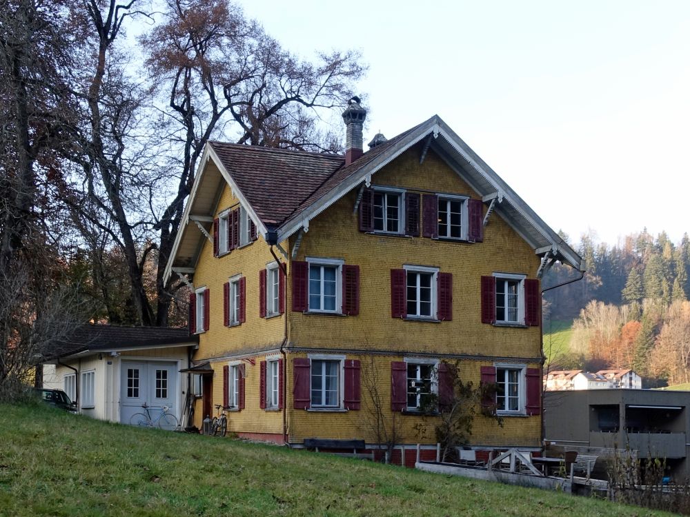 Haus in Bühler