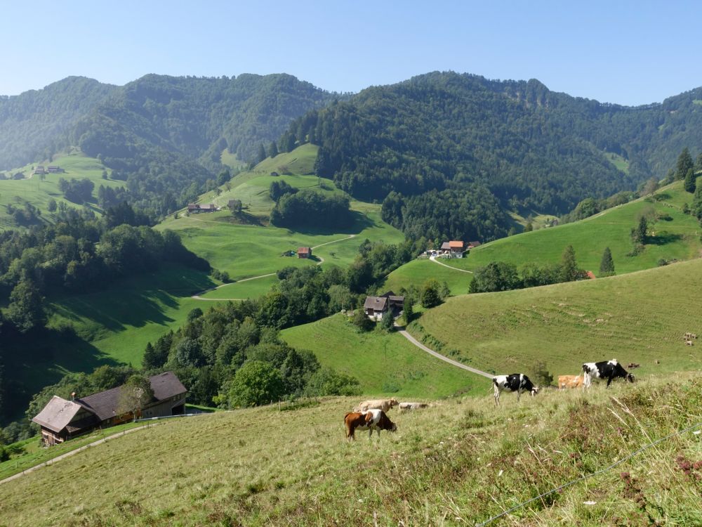 Bauernhöfe unterhalb des Laubbergs