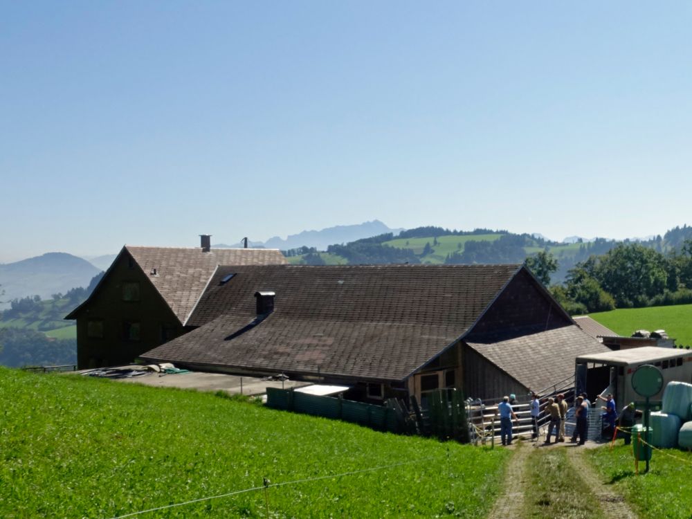 Unterstein, Almabtrieb