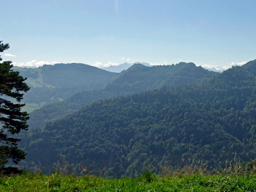 Spitzen der Schweizer Alpen